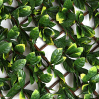 31201_CELOSÍA-MIMBRE-CON-HOJAS-LAUREL-2