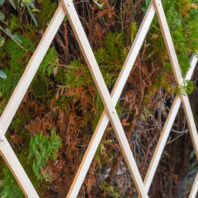 32001_32002_32003_32004_32005_CELOSIA-MADERA-1