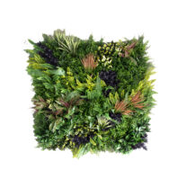 34068_34069_JARDÍN VERTICAL BORA BORA_MODELO A