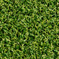 MULTIDEPORTE ANTIESTATICO-VERDE-1