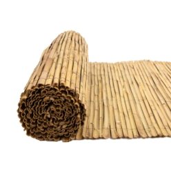 10001_10002_10003_10004_CAÑIZO-PARTIDO-NACIONAL-(1)