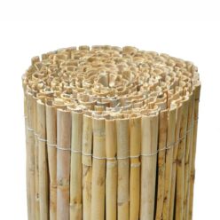 10001_10002_10003_10004_CAÑIZO-PARTIDO-NACIONAL-(3)