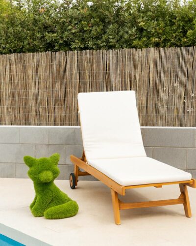 Bambú Entero Importación