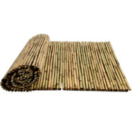 13201_13202_13203_BAMBÚ-BARNIZADO-(1)-ret