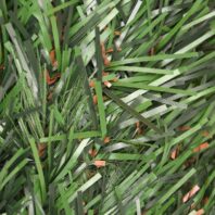 16521_16522_SETO-TRICOLOR-HOJA-FINA-126-VARILLAS-(2)