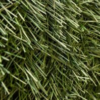 16531_16532_16533_SETO-PREMIUM-HOJA-FINA-110-VARILLAS-2