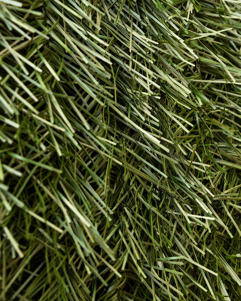 16531_16532_16533_SETO-PREMIUM-HOJA-FINA-110-VARILLAS-2 16531_16532_16533_SETO-PREMIUM-HOJA-FINA-110-VARILLAS-2