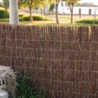 22001_22003_22004_ECOLO-2-1-