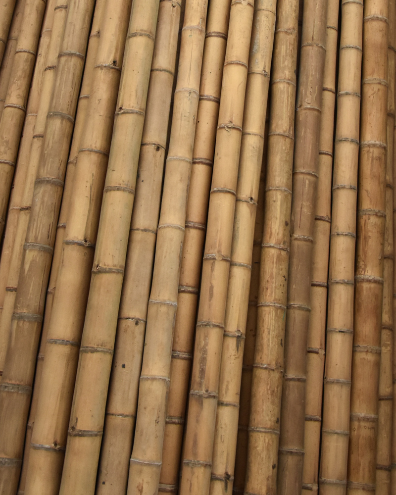29061_29062_29063_29064_29065_29066_29067_29068_29069_BAMBÚ-DECORATIVO--(2)