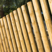 29317_293112_29310_29311_29303_29313_29300_29301_TUTORES-DE-MADERA-SIN-PUNTA