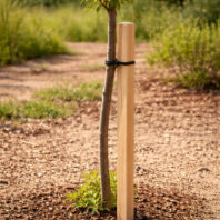 29601_29602_29603_29604_ESTACAS-CUADRADAS-CON-PUNTA-1-