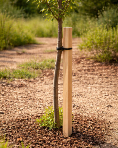 Estacas Cuadradas con Puntas