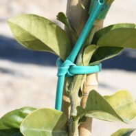 29901_MACARRÓN-PVC-1