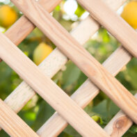 30407_30406_30430_30431_PANEL-DE-CELOSÍA-RECTOS-3