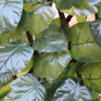 31202_CELOSÍA-MIMBRE-CON-HOJAS-SAUCE-4