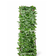 31203_CELOSÍA MIMBRE CON HOJAS ARCE-2