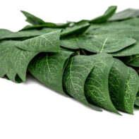 31203_CELOSÍA MIMBRE CON HOJAS ARCE-3