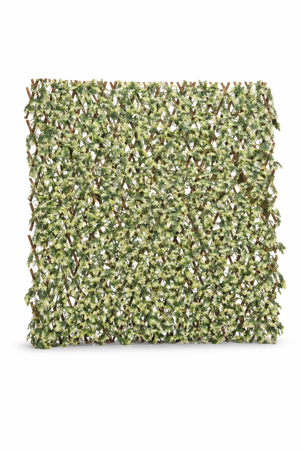 31204_CELOSÍA-MIMBRE-CON-HOJAS-CIPRÉS-2