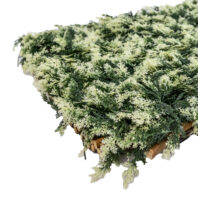 31204_CELOSÍA-MIMBRE-CON-HOJAS-CIPRÉS--(2)