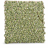 31204_CELOSÍA-MIMBRE-CON-HOJAS-CIPRÉS-2