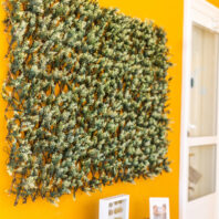 31204_CELOSÍA-MIMBRE-CON-HOJAS-CIPRÉS-3