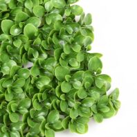 34053_JARDÍN-VERTICAL-BOJ-4