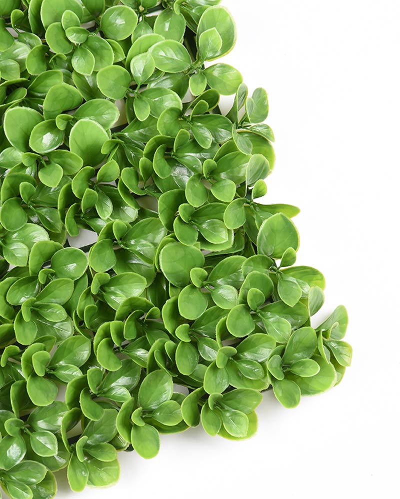 34053_JARDÍN-VERTICAL-BOJ-4 34053_JARDÍN-VERTICAL-BOJ-4