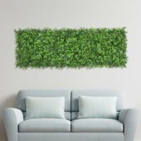 34054_JARDIN-VERTICAL-MAHONIA-1