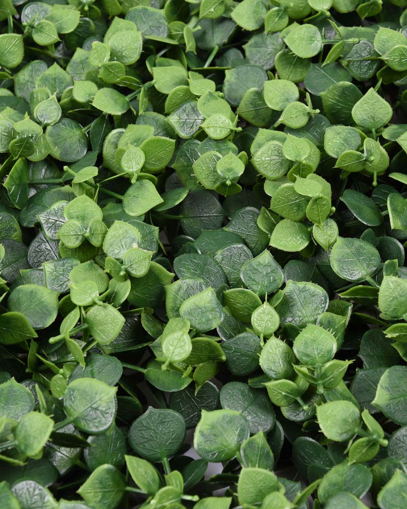 34055_JARDÍN-VERTICAL-IROLIA-3 34055_JARDÍN-VERTICAL-IROLIA-3