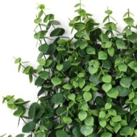 34055_JARDÍN-VERTICAL-IROLIA-4