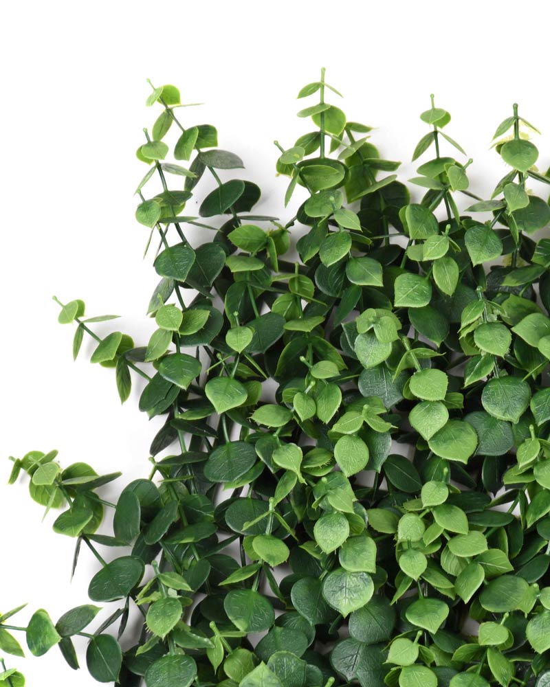 34055_JARDÍN-VERTICAL-IROLIA-4 34055_JARDÍN-VERTICAL-IROLIA-4