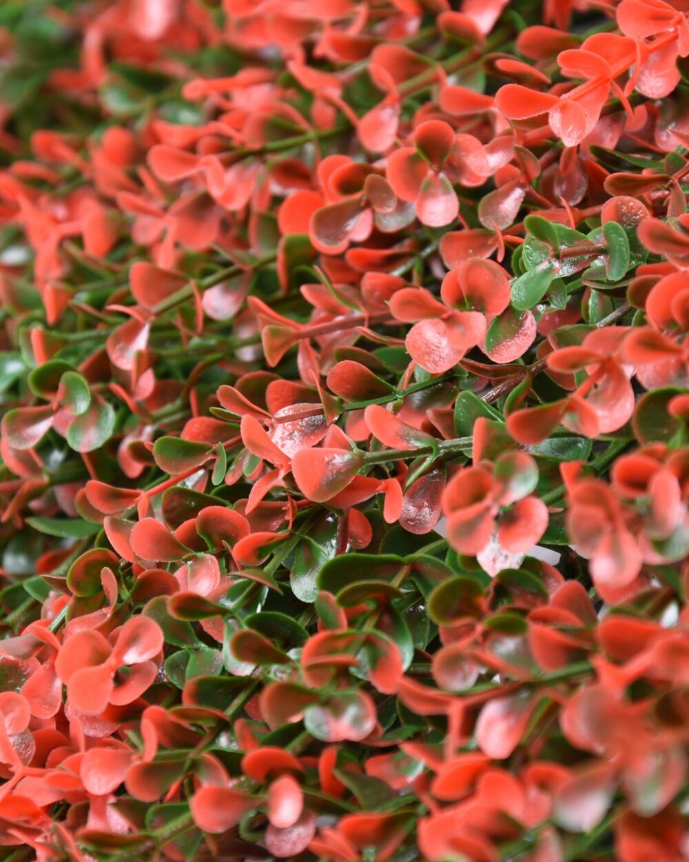 34056_JARDÍN-VERTICAL-NATUS-3