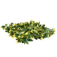 34057_JARDÍN-VERTICAL-LAUREL-2