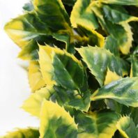 34057_JARDÍN-VERTICAL-LAUREL-4