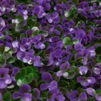 34058_JARDÍN-VERTICAL-LAVANDA-(1)