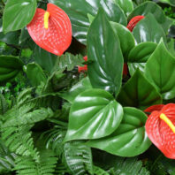 34062_JARDÍN-VERTICAL-TROPICAL-(3)