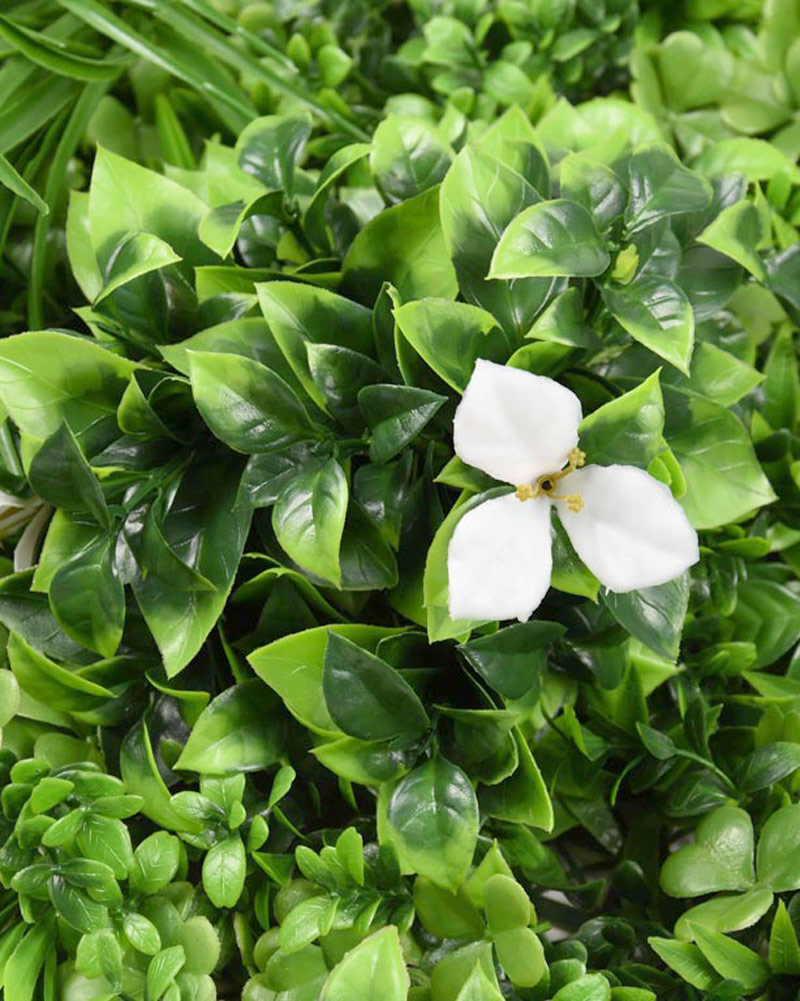 34063_JARDÍN-VERTICAL-AMAZÓNICA-3 34063_JARDÍN-VERTICAL-AMAZÓNICA-3