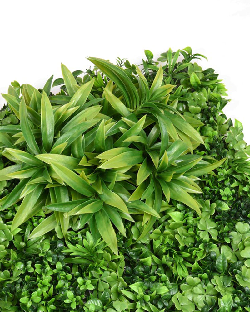 34063_JARDÍN-VERTICAL-AMAZÓNICA-4 34063_JARDÍN-VERTICAL-AMAZÓNICA-4