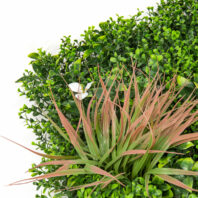 34064-JARDÍN-VERTICAL-JUNGLA-(2)