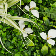 34064-JARDÍN-VERTICAL-JUNGLA-(4)