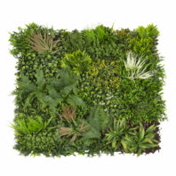 34065_JARDÍN-VERTICAL-MADAGASCAR-2