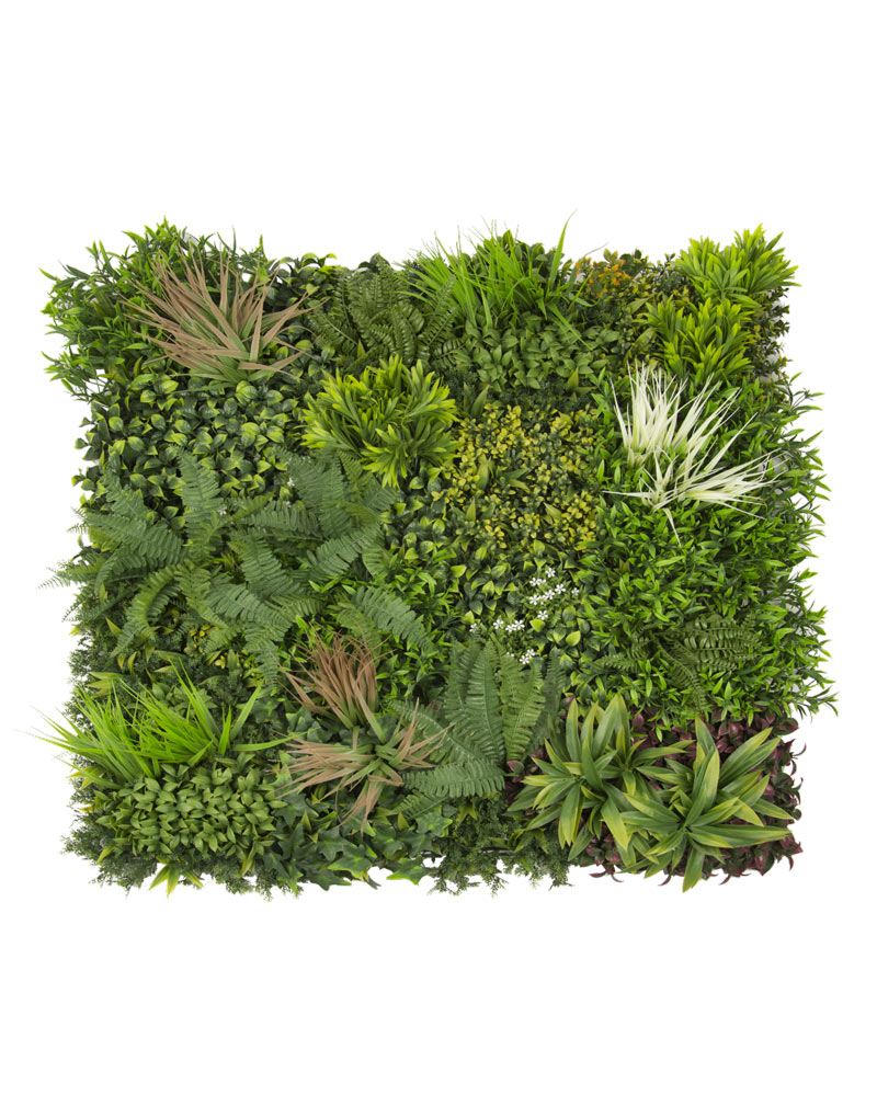 34065_JARDÍN-VERTICAL-MADAGASCAR-2 34065_JARDÍN-VERTICAL-MADAGASCAR-2