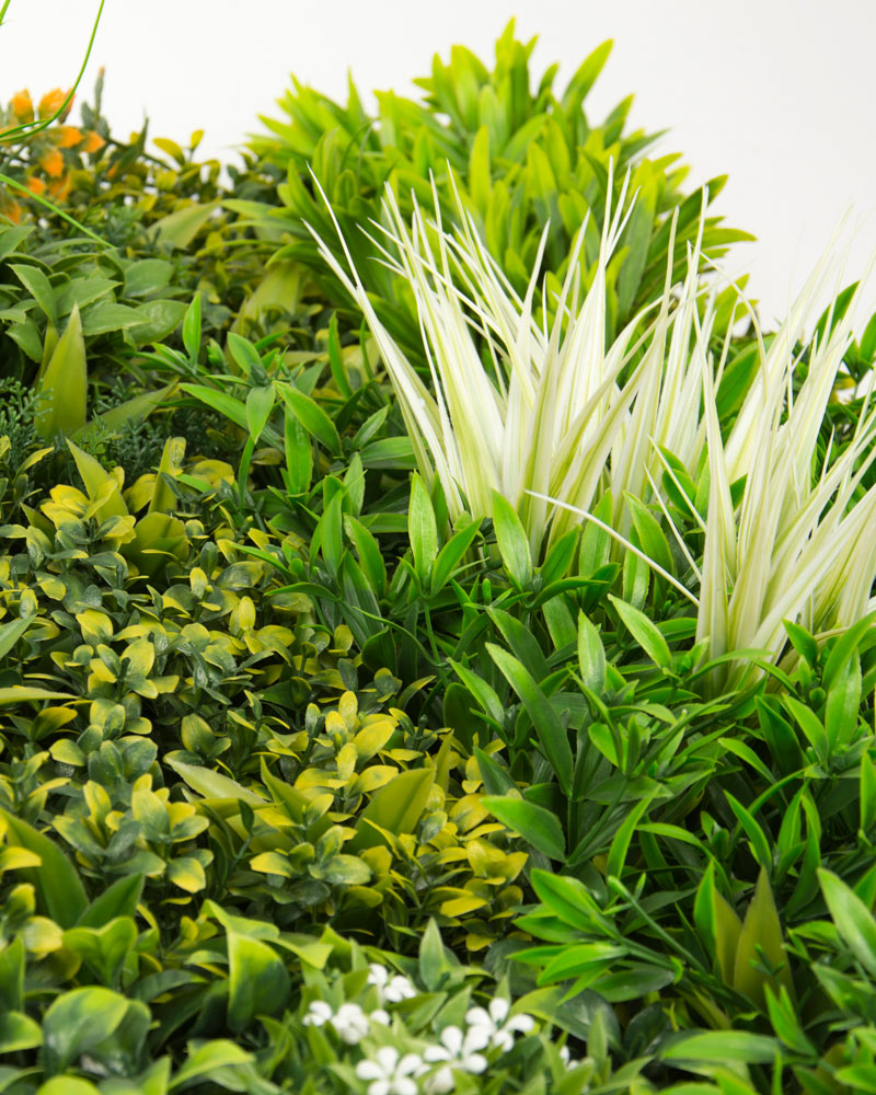 34065_JARDÍN-VERTICAL-MADAGASCAR-4 34065_JARDÍN-VERTICAL-MADAGASCAR-4