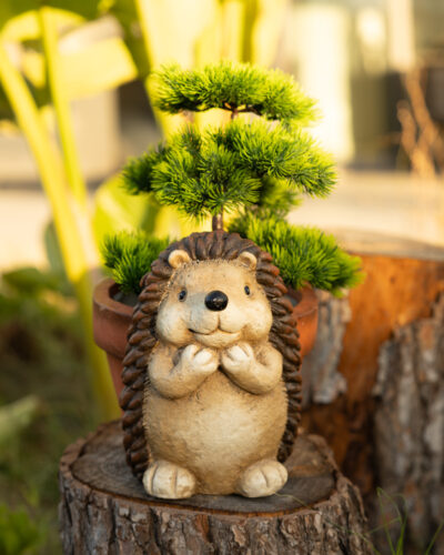 40450-MACETERO-ERIZO-2