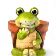 40452-MACETERO-TORTUGA-1