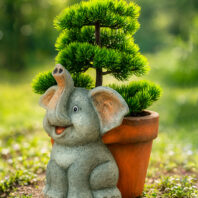 40452-MACETERO-TORTUGA-2