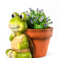 40452-MACETERO-TORTUGA-3