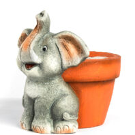 40452-MACETERO-TORTUGA-4