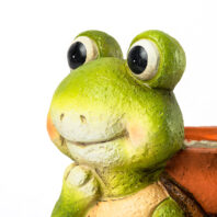 40452-MACETERO-TORTUGA-4