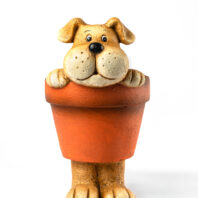 40456-MACETERO-PERRO-1